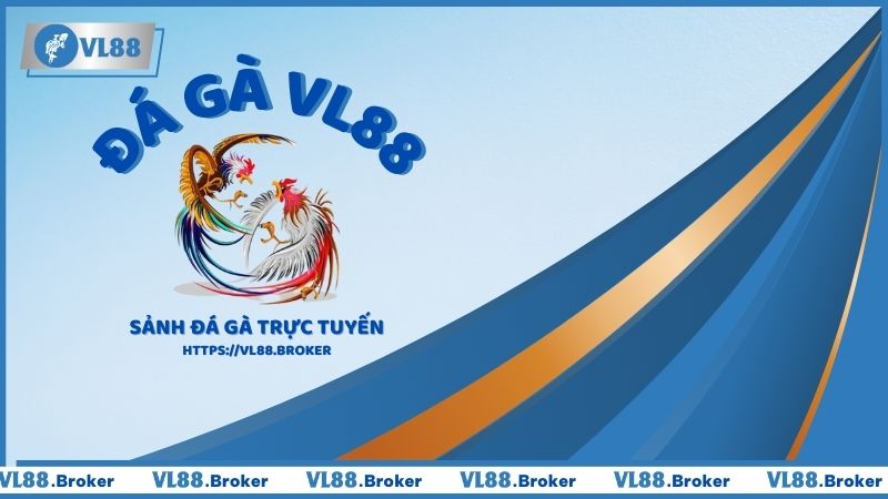 Đá Gà Vl88